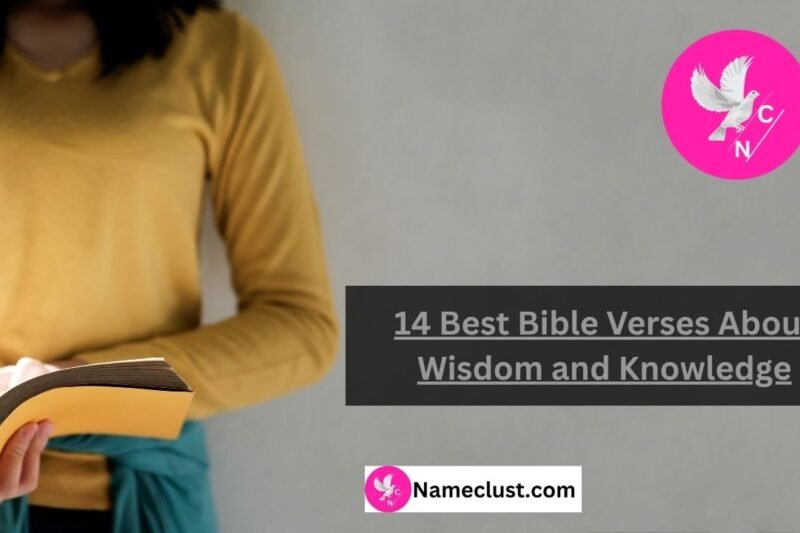 14 Best Bible Verses About Wisdom and Knowledge