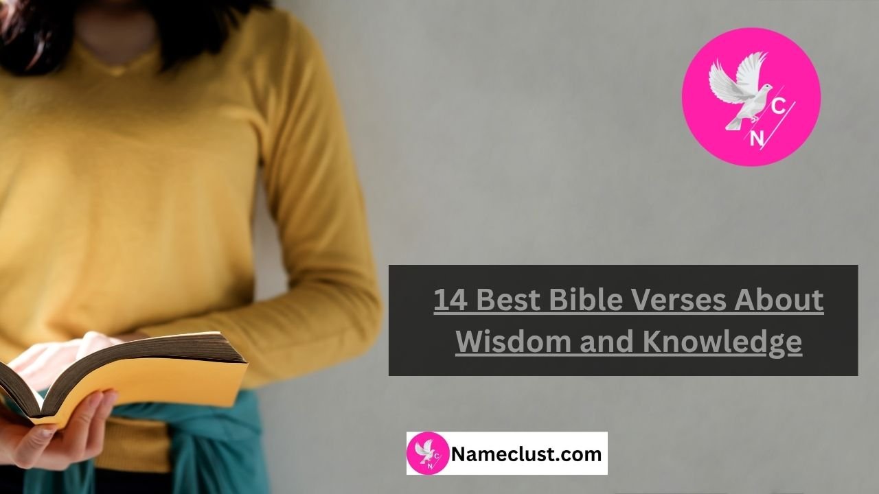 Bible Verses About Wisdom