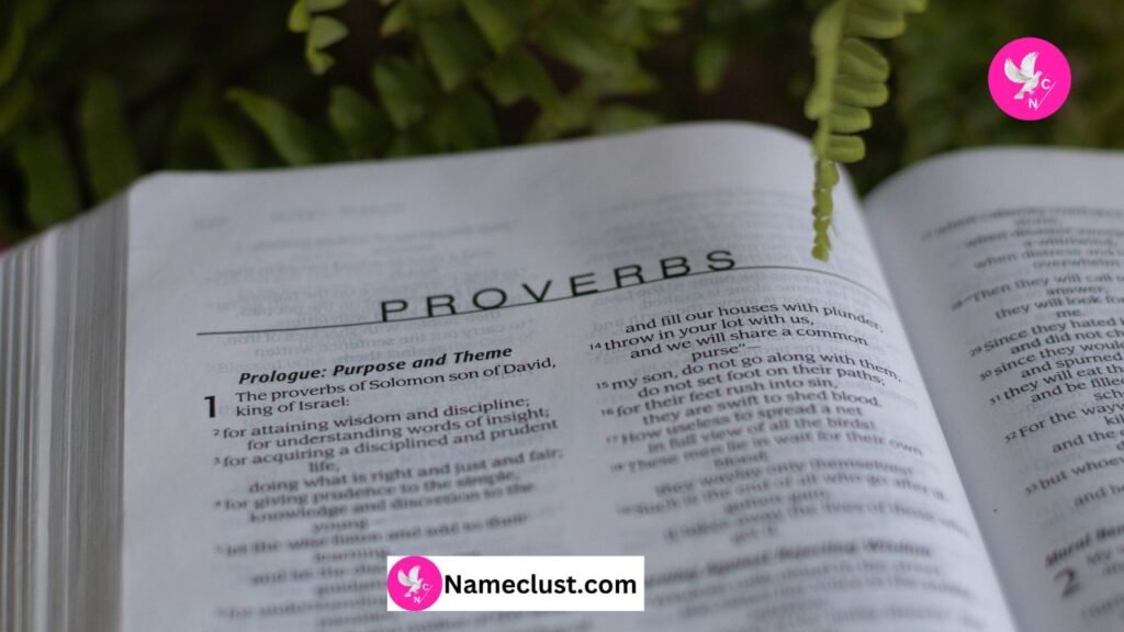Biblical View on Stewardship