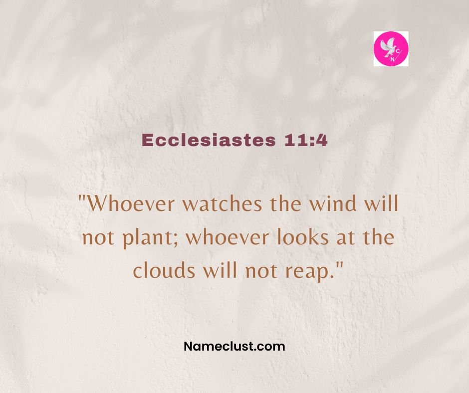 Ecclesiastes 11:4
