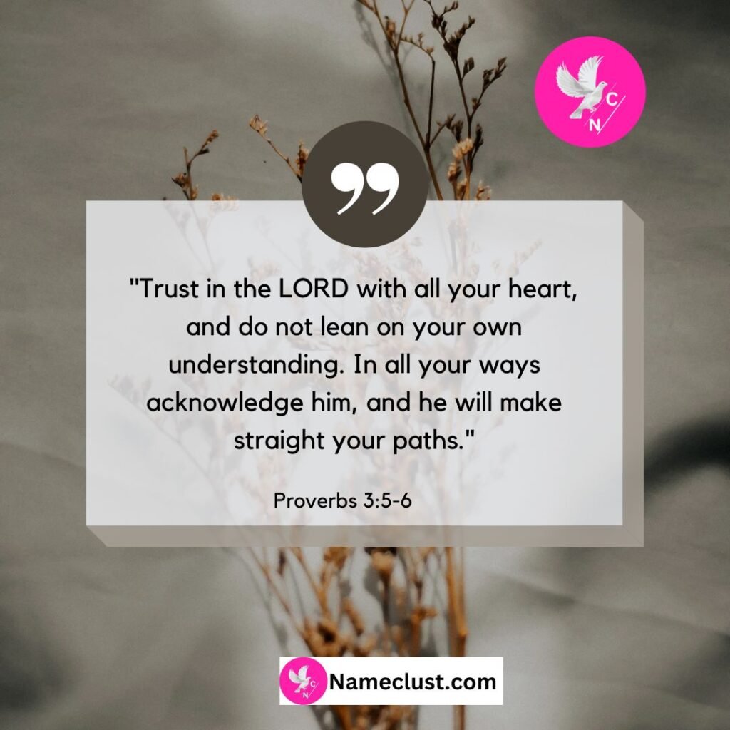 Proverbs 3:5-6