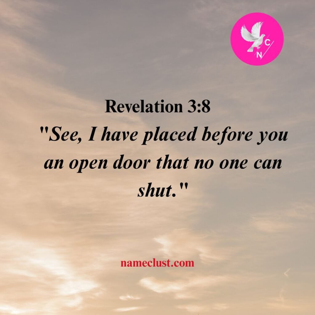Revelation 3:8