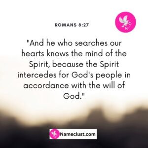 Romans 8:27