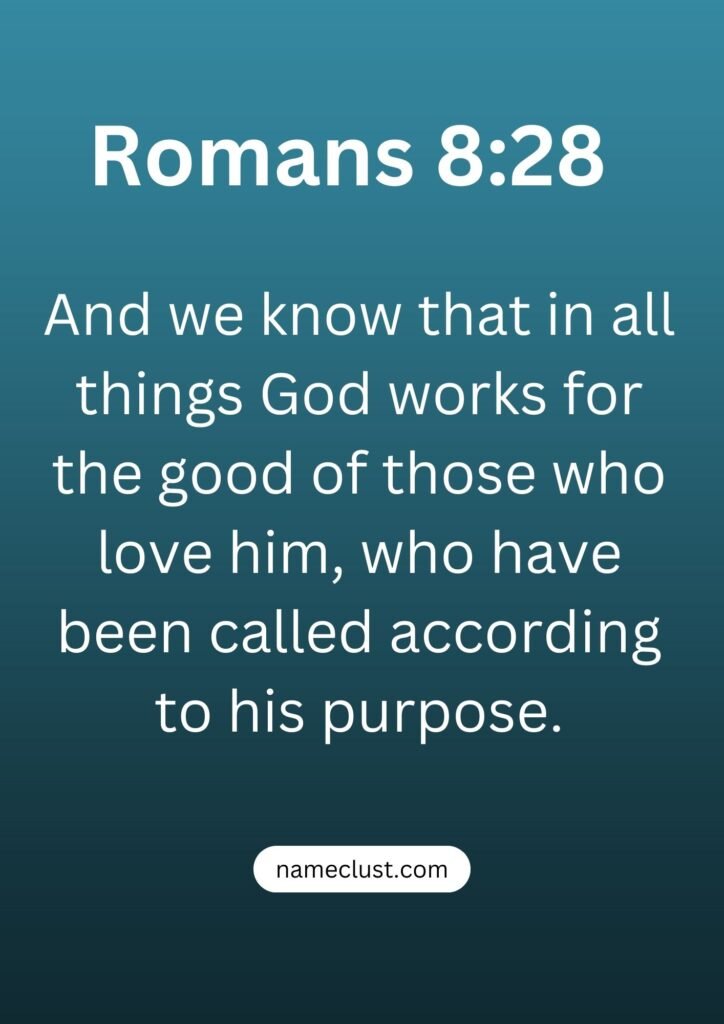 Romans 8:28